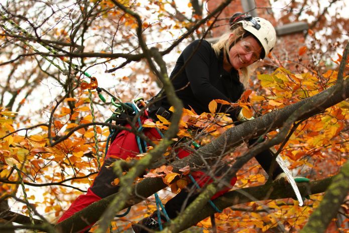  Vrouwelijke treeworker/boomverzorgster aan het werk