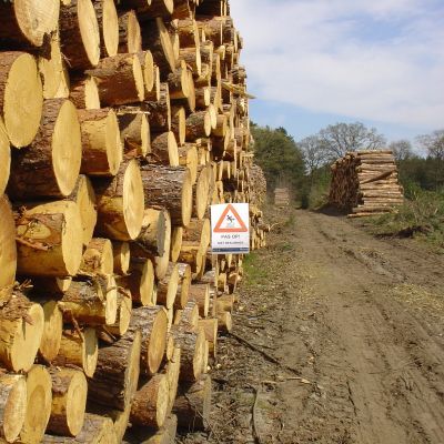  Signalisatie en beveiliging van wegen en werkzones bij bosexploitaties