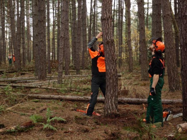 Bosbouwtechnische opleiding erkenningsregeling